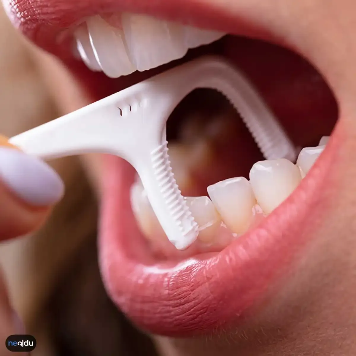 Kürdanlı Diş İpi